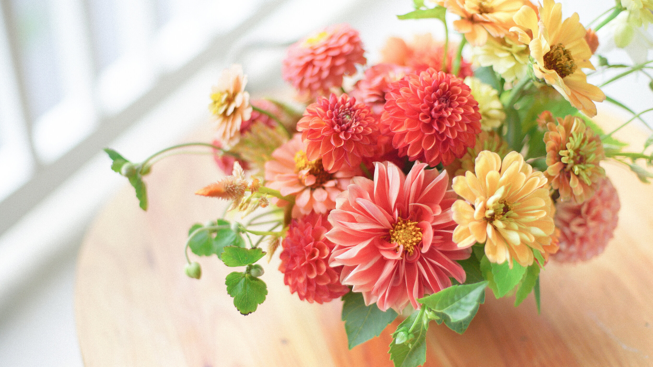 Floral Design Tips for Beginners