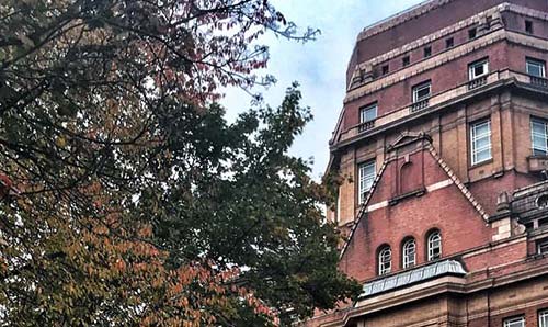 Integrated Foundation Year-The University of Manchester 