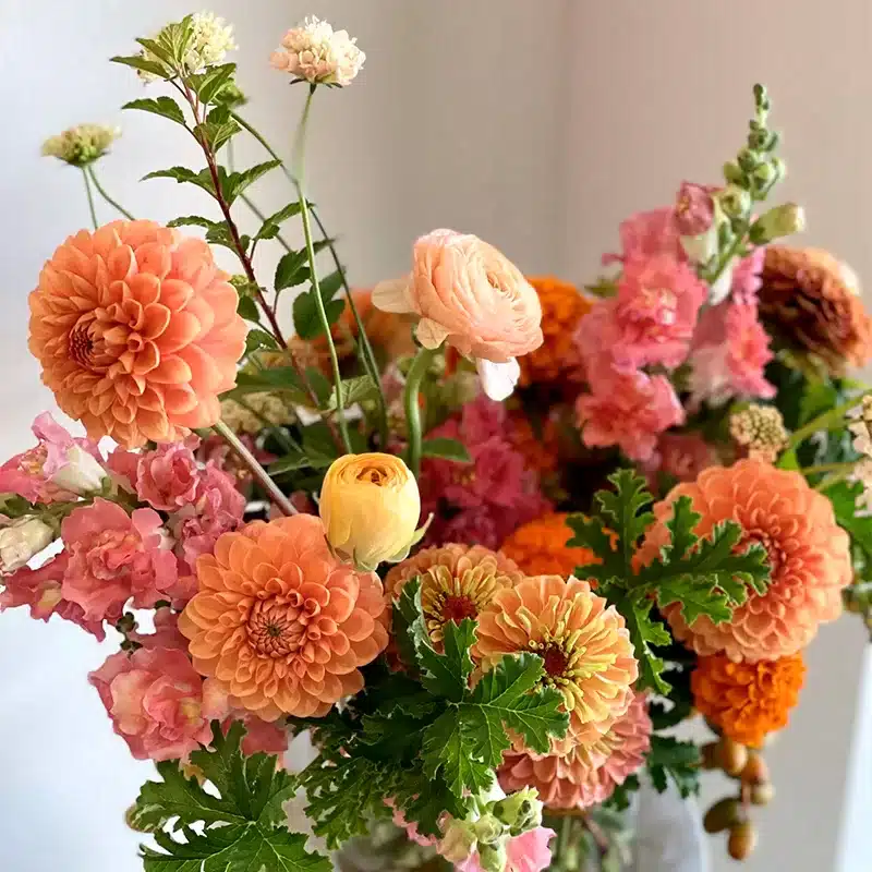 Designer's Choice | Lilia Flower