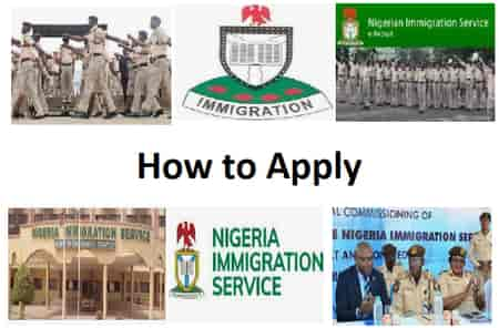 NIS aptitude test result released: check here