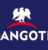 How to Apply for the 2025 Dangote Graduate Trainee Program for Nigerians