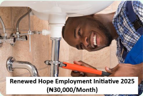National Directorate of Employment (NDE) Renewed Hope Employment Initiative 2025 (₦30,000 monthly stipend)