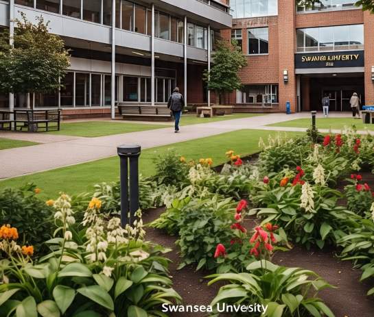 Swansea University International Postgraduate Research Excellence Scholarships 2025/2026