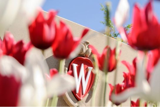 University of Wisconsin-Madison King Morgridge Undergraduate Scholarship for International Students in the USA 2026
