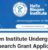 Application Call: Helix Biogen Institute Undergraduate Project Research Grant 2025 for Nigerian Undergraduates