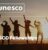 UNESCO / Kingdoms Institute: Kingdom of Saudi Arabia AlUla Fellowships Programme 2026